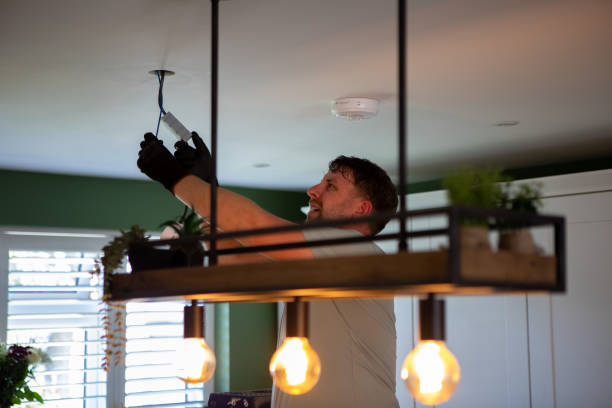 Best Electric Panel Repair  in Arrowhead Beach, NC